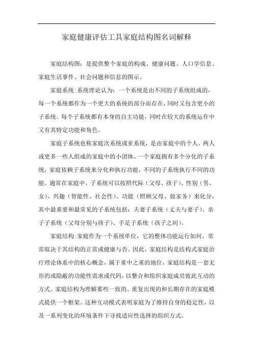 家庭健康评估工具家庭结构图名词解释