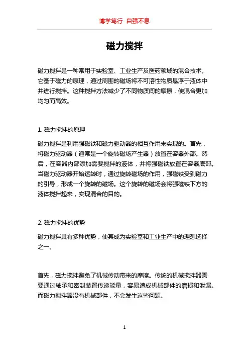 磁力搅拌_精品文档