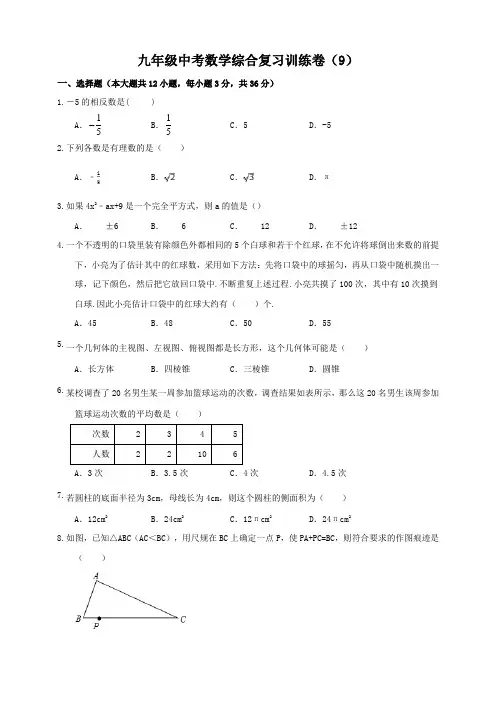 九年级中考数学综合复习训练卷(9)