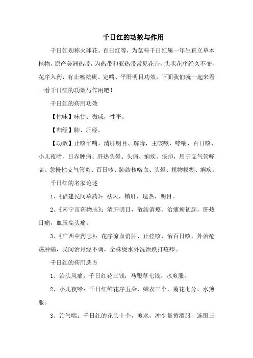 千日红的功效与作用