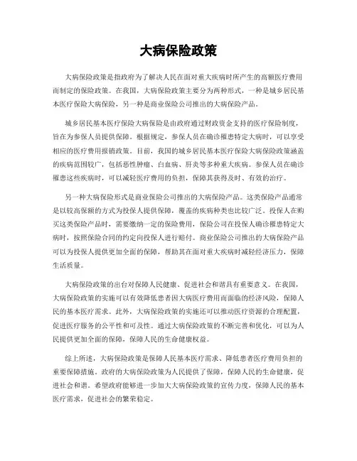 大病保险政策