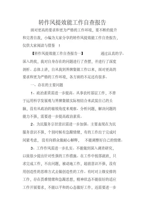 转作风提效能工作自查报告