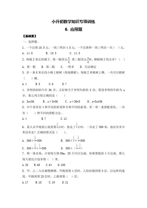人教版小升初数学知识专项训练6.应用题