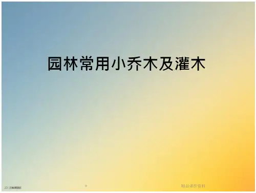 园林常用小乔木及灌木[1]