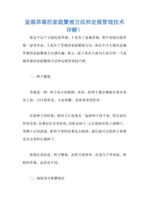 盆栽草莓的家庭繁殖方法和定植管理技术详解!