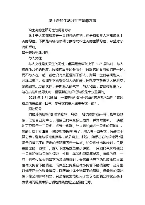 哈士奇的生活习性与饲养方法