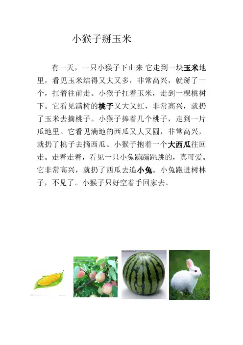 故事 小猴子掰玉米