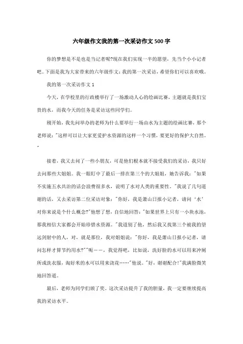六年级作文我的第一次采访作文500字