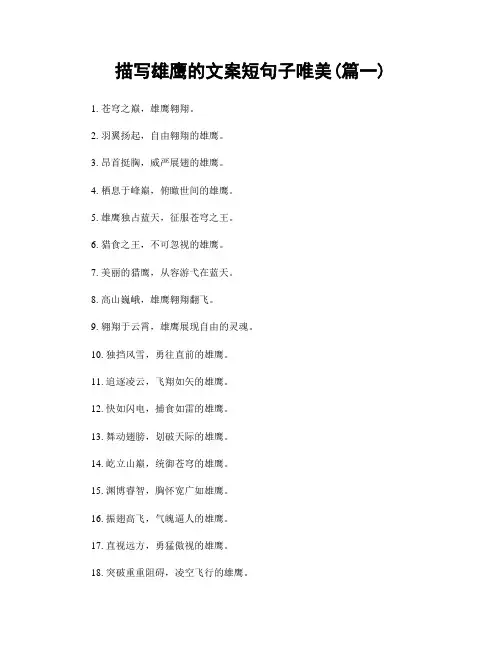 描写雄鹰的文案短句子唯美(精选合集2篇)