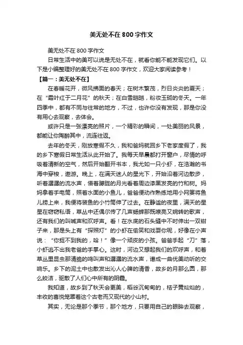 美无处不在800字作文
