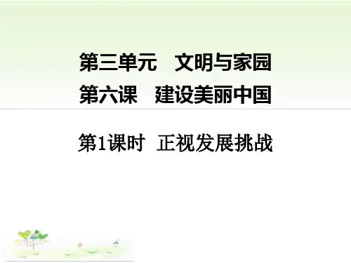 人教版九年级道德与法治上册第六课第一节 正视发展挑战(共28张PPT)