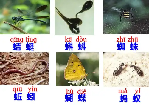 【人教部编版小学语文】动物儿歌PPT公开课课件4