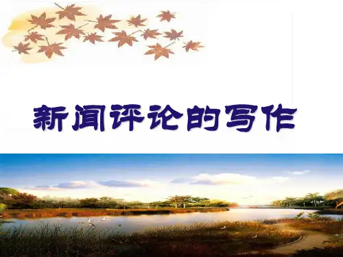 新闻时评~