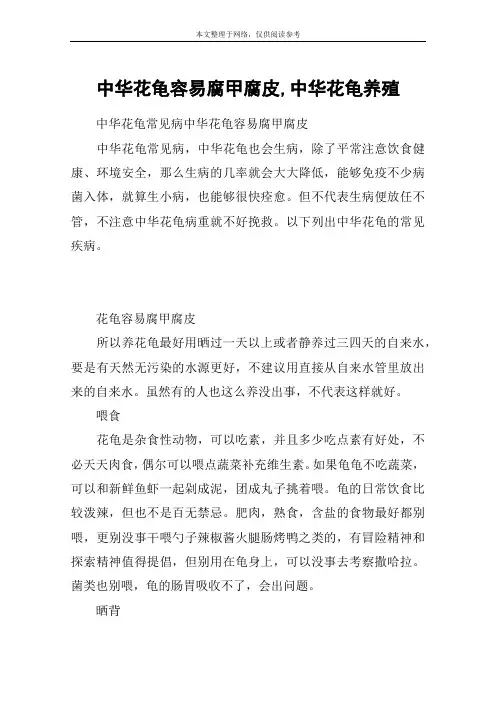 中华花龟容易腐甲腐皮,中华花龟养殖