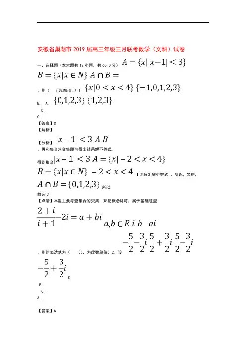 安徽省巢湖市2019届高三数学三月联考试题文(含解析)