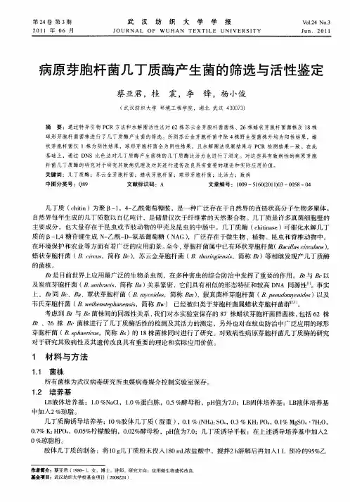 病原芽胞杆菌几丁质酶产生菌的筛选与活性鉴定