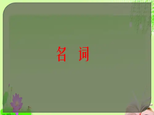最新最新中考英语语法专项复习 名词(32张)教育课件