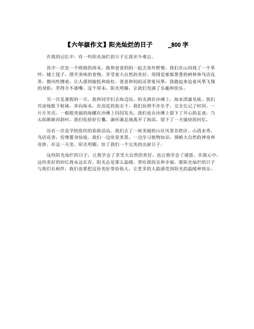 【六年级作文】阳光灿烂的日子   _800字