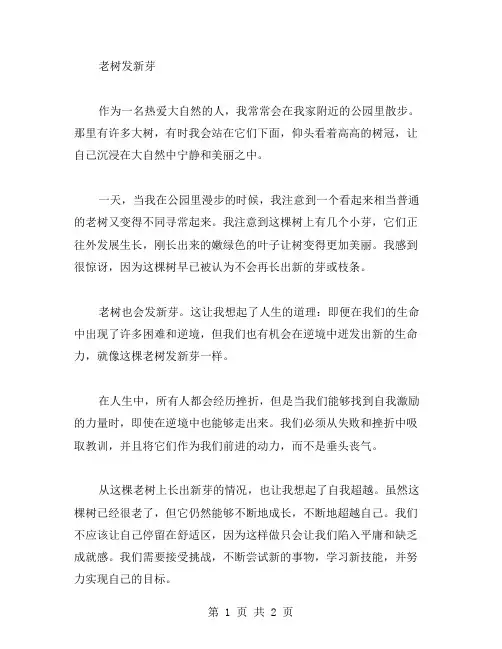 老树发新芽作文范文
