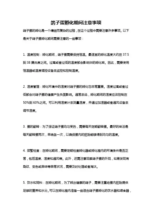 鸽子蛋孵化期间注意事项