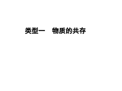 专题中考化学物质的共存