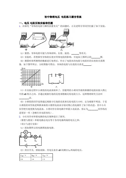 初中物理电压 电阻练习题含答案