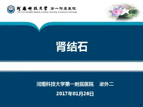 肾结石
