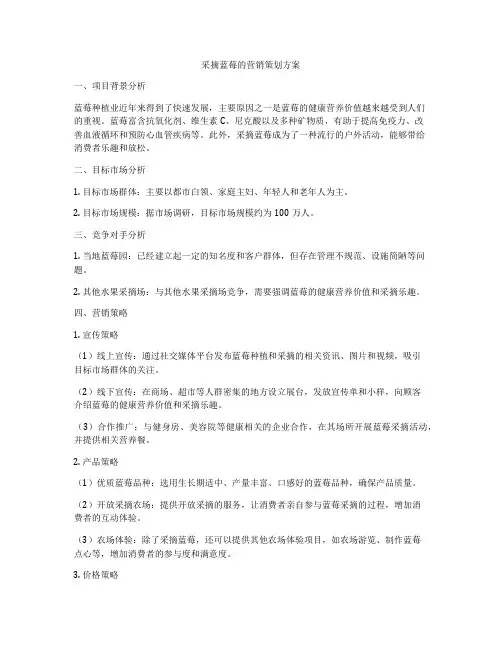 采摘蓝莓的营销策划方案