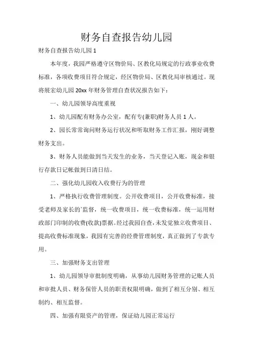 财务自查报告幼儿园