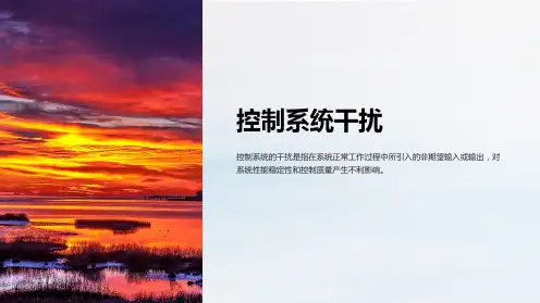 《控制系统干扰》课件