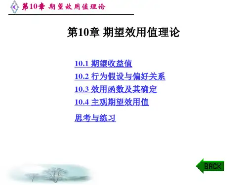 期望效用值理论