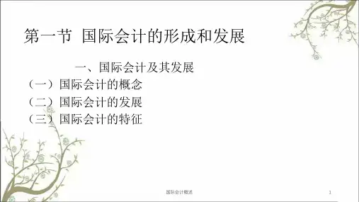 国际会计概述课件