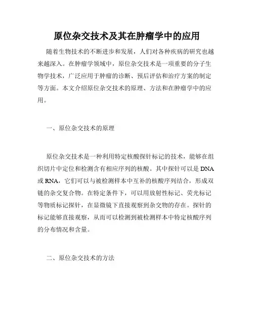 原位杂交技术及其在肿瘤学中的应用
