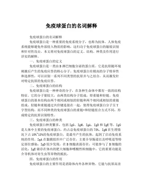 免疫球蛋白的名词解释