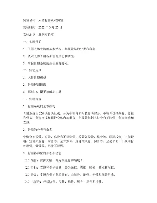 人体骨骼认识实验报告