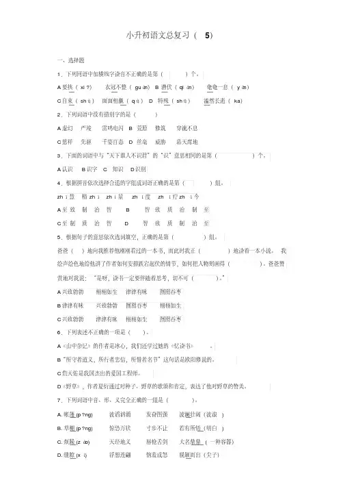 【小升初语文毕业考试】2019年小升初语文知识专项训练总复习试卷及答案解析(WORD版524页)