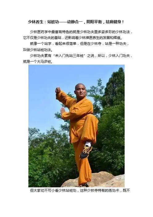 少林养生：站桩功——动静合一，阴阳平衡，祛病健身！