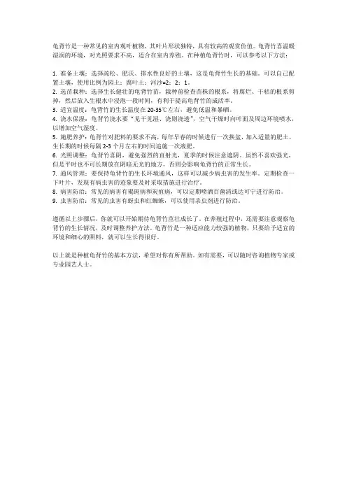 龟背竹种植方法