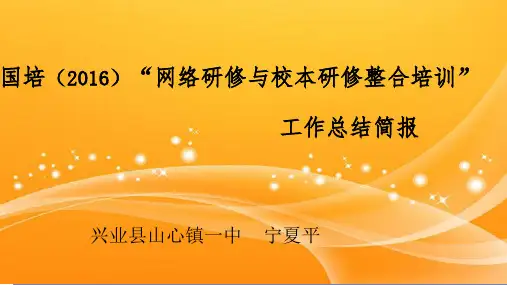 国培总结简报