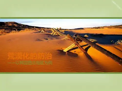 3.2.1.荒漠化的防治修正