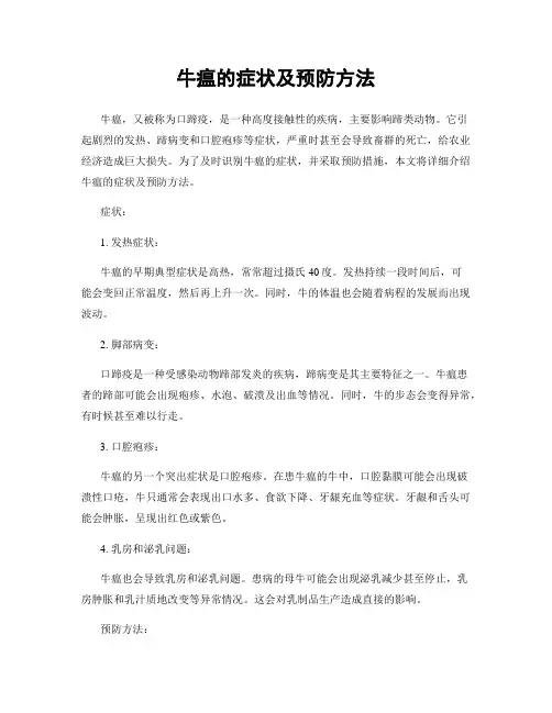 牛瘟的症状及预防方法