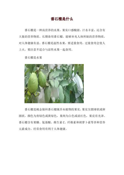 番石榴是什么
