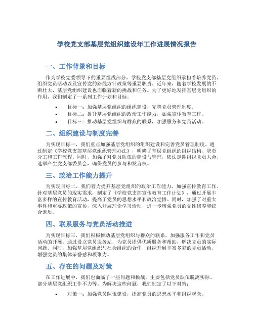 学校党支部基层党组织建设年工作进展情况报告