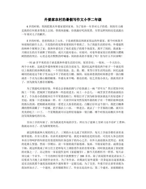 外婆家农村的暑假写作文小学二年级