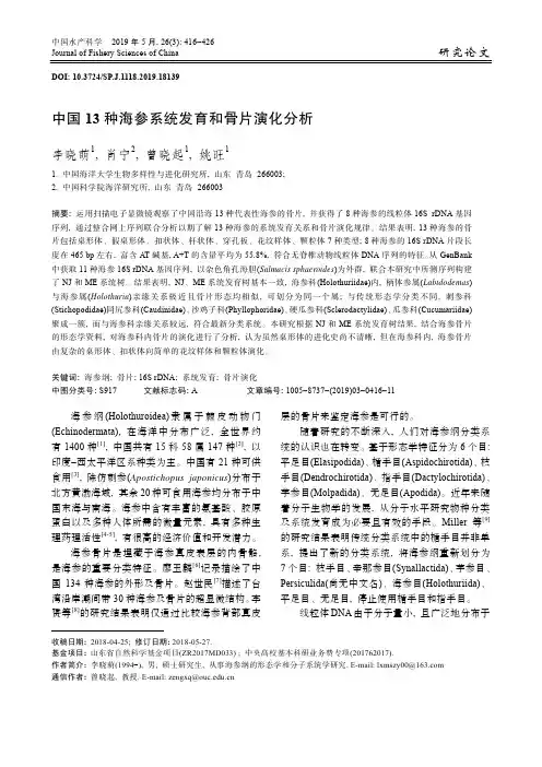 中国13种海参系统发育和骨片演化分析