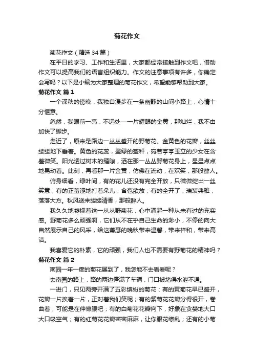 菊花作文（精选34篇）