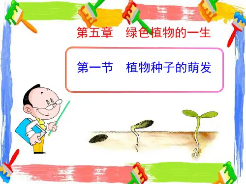 《植物种子的萌发》PPT
