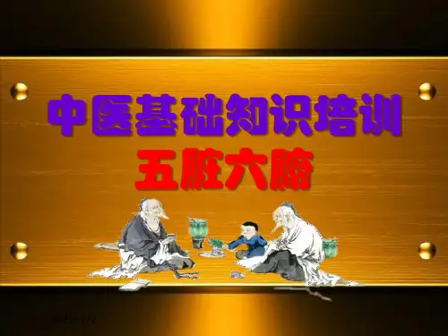 中医基础知识五脏六腑-ppt课件(2024版)