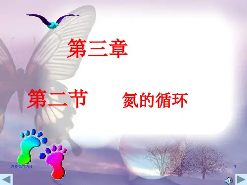第三章第二节氮的循环精品PPT教学课件