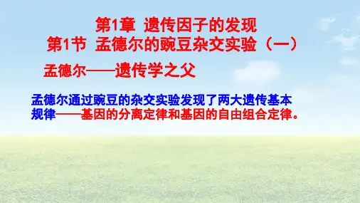第1章第1节_孟德尔的豌豆杂交实验(笔记)